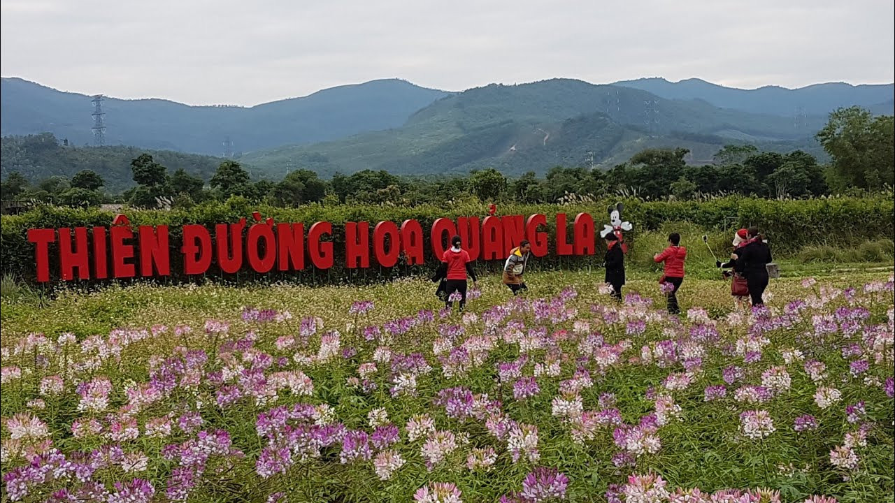 Khu du lịch được quy hoạch trên một diện tích rộng lớn
