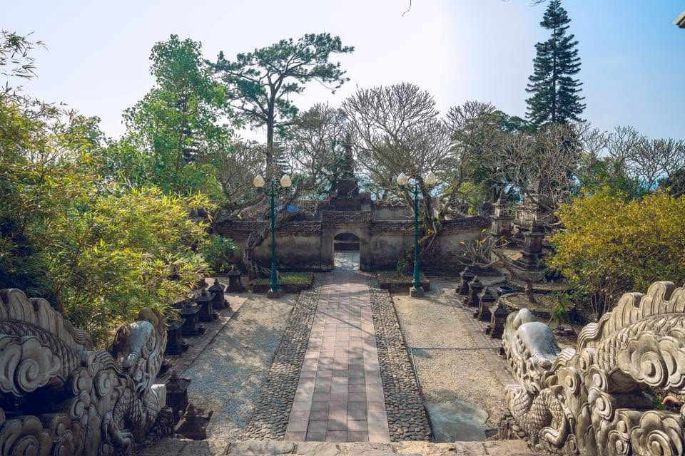 Bao quanh vườn tháp là thàm thực vật cổ thụ đa dạng